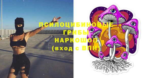 mix Алексин
