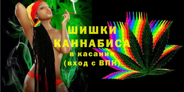 тгк Алзамай