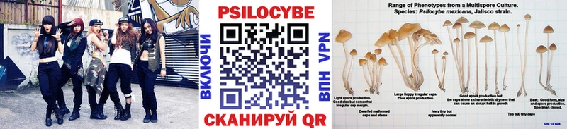 Псилоцибиновые грибы Magic Shrooms  Ликино-Дулёво 